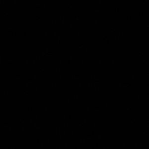 Meet your Posher, Donald